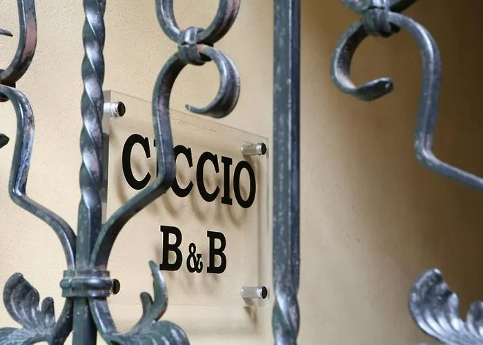 住宿加早餐酒店 Ciccio 3*