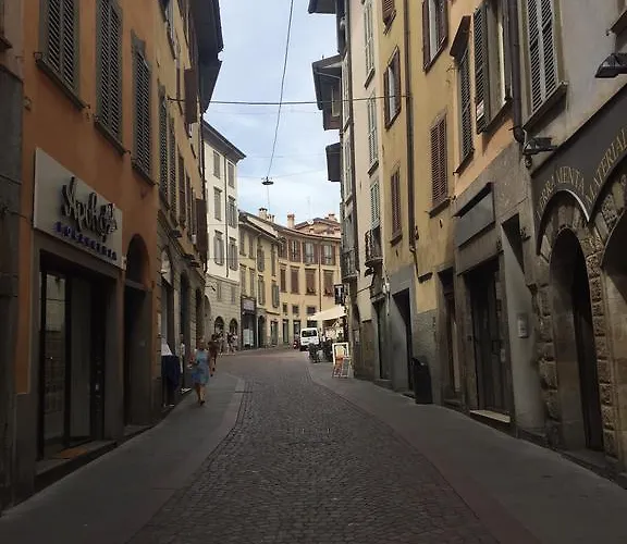 Ciccio